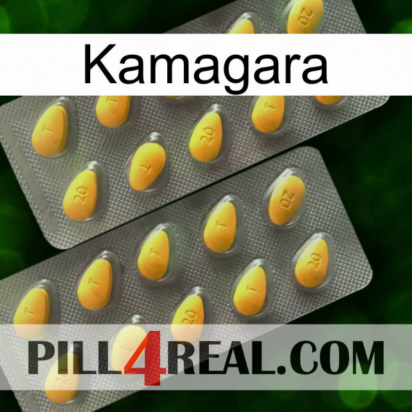 Kamagara cialis2.jpg